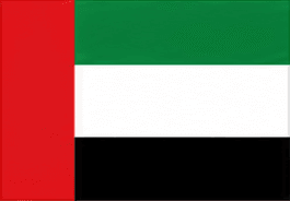 UAE flag